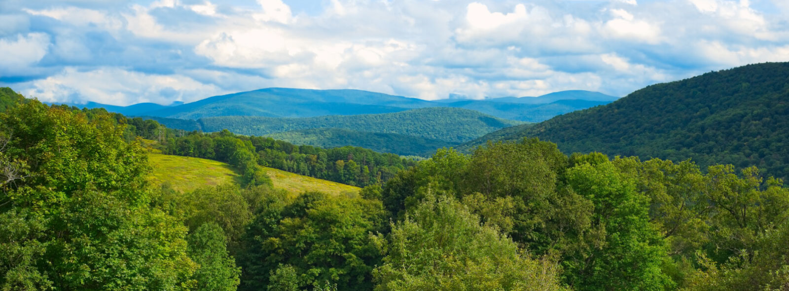 Scenic landscape of treecovered mountains