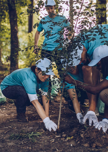 Volunteers planting a tree